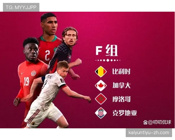 世界杯F组胜率与出线率统计